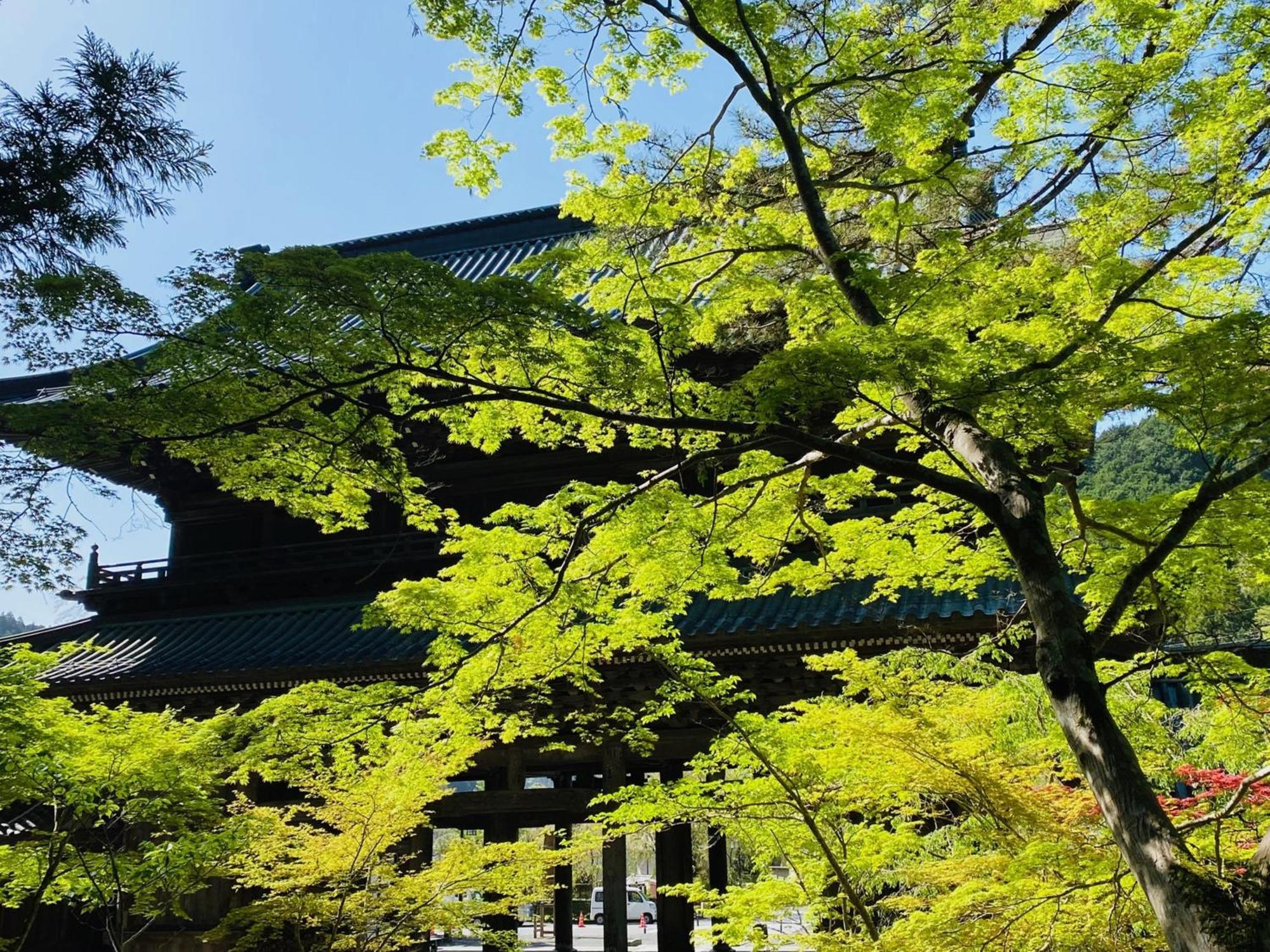 Ryokan Tanakaya Minobu Exterior foto